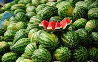 茅山网红吃瓜事件真相,揭秘背后真相与网络舆论的漩涡