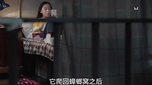 多多姐爆料十三视频,十三视频背后的惊人真相