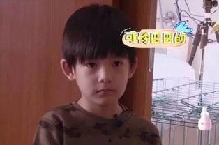 董洁和她的儿子爆料视频,母子情深背后的故事