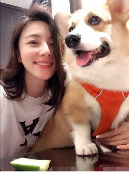 柯基最新爆料图片,最新爆料图片曝光！